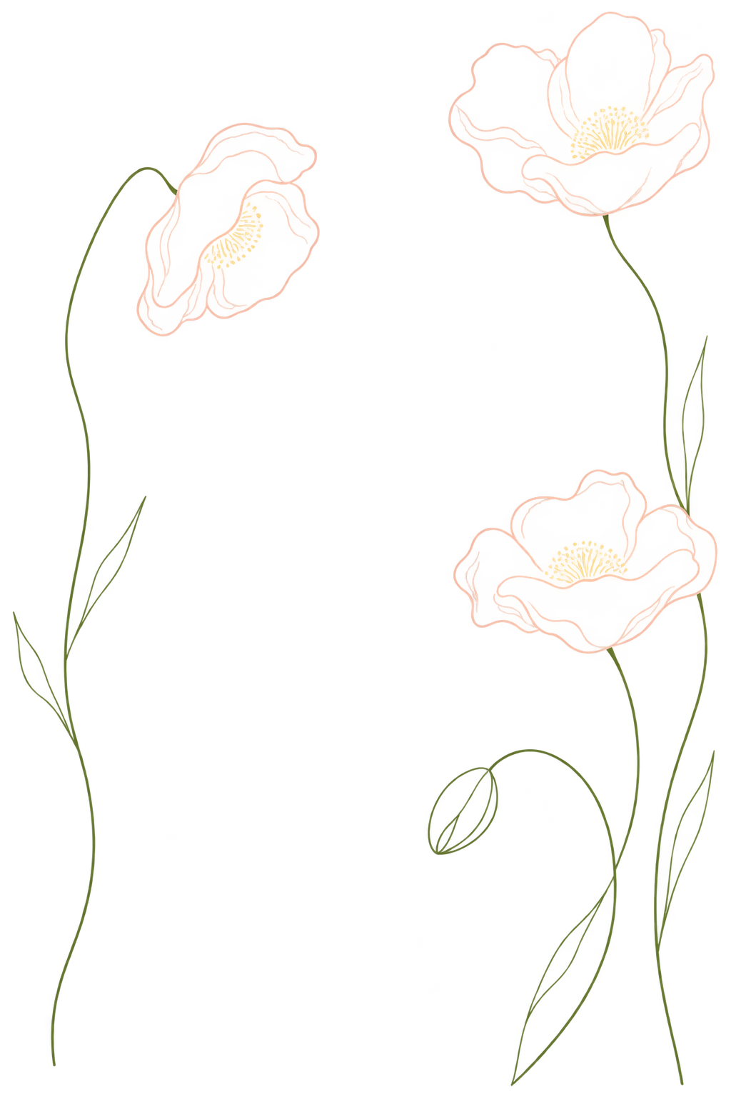 Delicate peach poppies with green stems